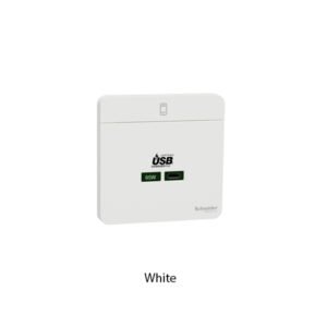 Schneider Avatar Socket USB Charger Type C E831USB65