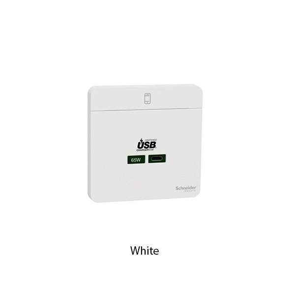 Schneider Avatar Socket USB Charger Type C E831USB65