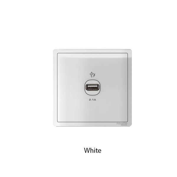 Schneider Pieno USB Charger E8231USB