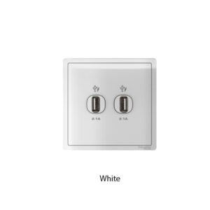 Schneider Pieno USB Charger Ganda E8232USB