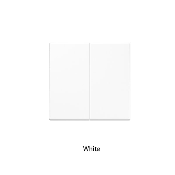 JUNG Switch Series LS 995 Plastic Rocker 2 Gang Plastic