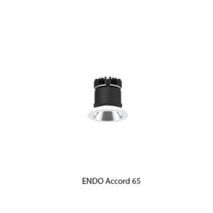 ENDO Accord 65 GSTDA1000W Adjustable Downlight Matt Reflector